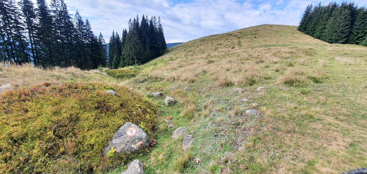 Pe toată Via Transilvanica. Ziua 2: spectaculos pare puțin spus