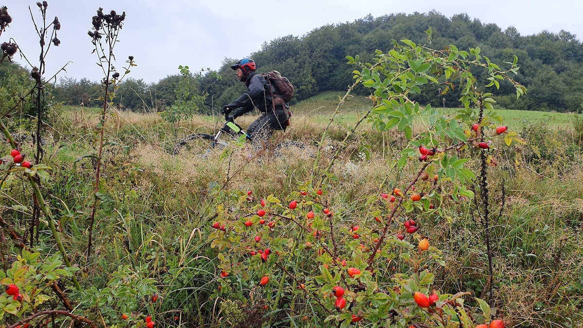 Pe toată Via Transilvanica, ziua 4. De la Tibi Ușeriu și până când norii ne-au devenit prieteni