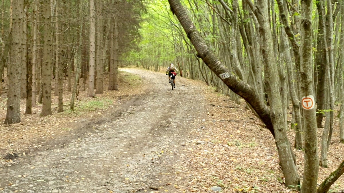 Pe toată Via Transilvanica, ziua 9. ”Acesta este tot secretul: să ne cunoaștem”