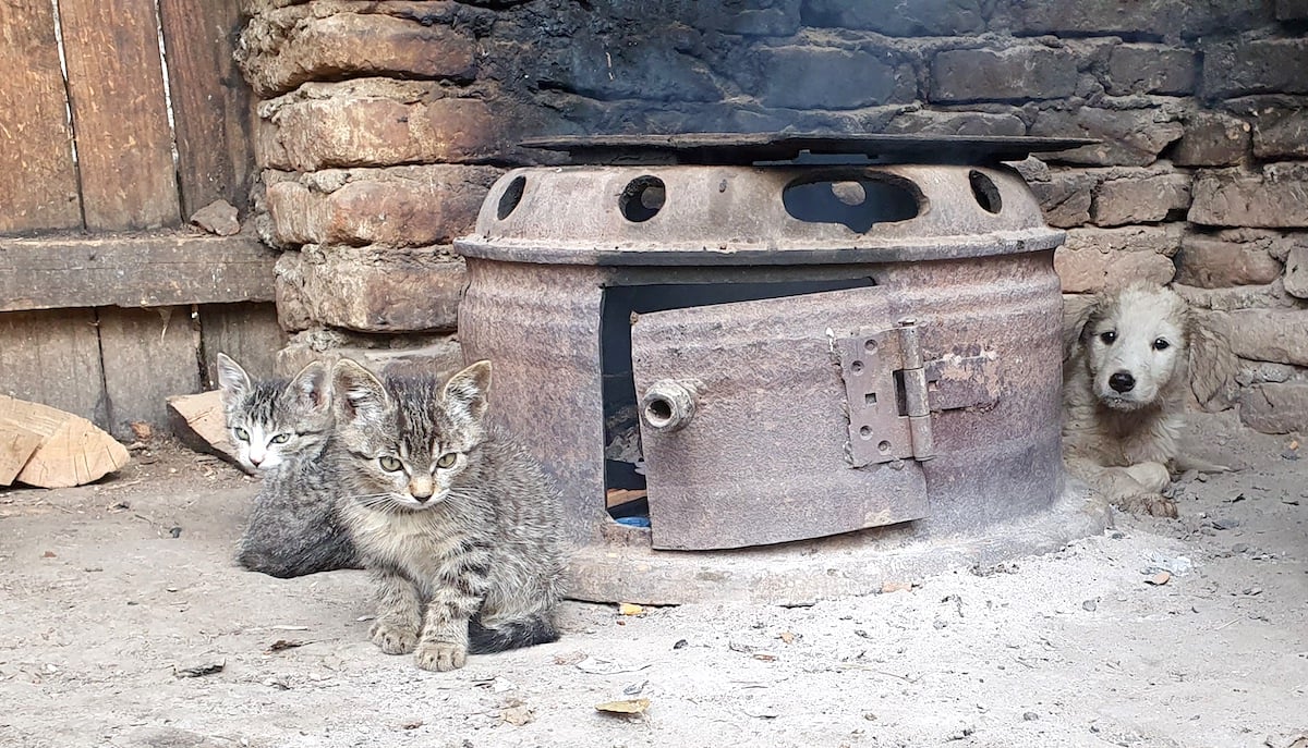 Pe toată Via Transilvanica, ziua 11. Am ajuns la Sibiu: pe coline răsar castele și biserici fortificate