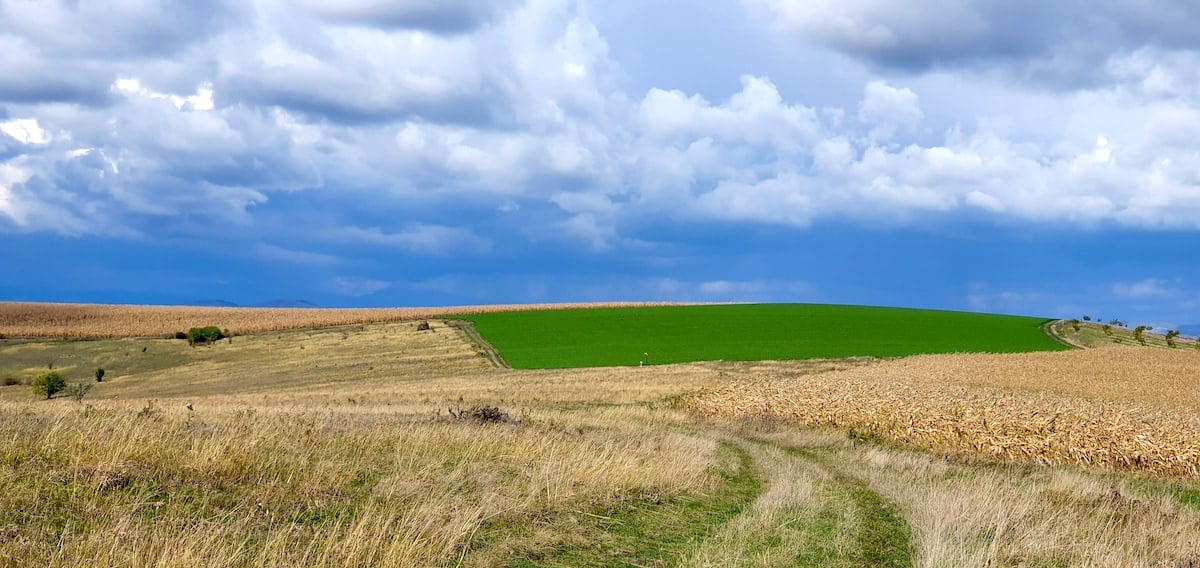 Pe toată Via Transilvanica. După două săptămâni, drumul care unește ne-a ținut o lecție de istorie