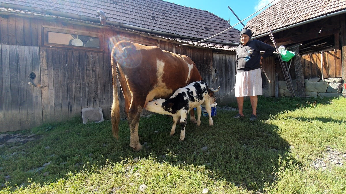 Pe toată Via Transilvanica, ziua 7. Atunci când oamenii și locurile te umplu de cadouri