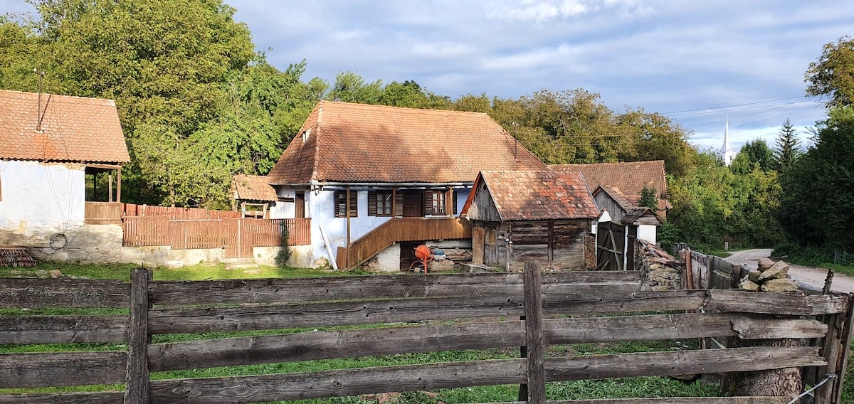 Pe toată Via Transilvanica, ziua 8. Pe autostrada urșilor am ajuns în satul-muzeu