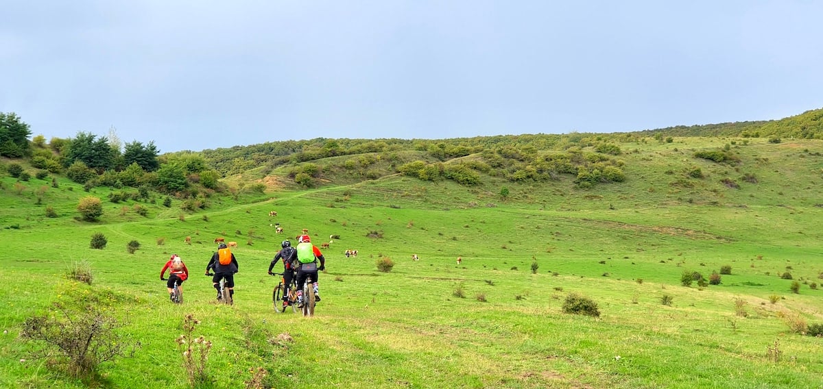 Pe toată Via Transilvanica, ziua 13. Ne-au petrecut doi primari, ambii sibieni, și am sfârșit rătăcind noaptea prin pădure