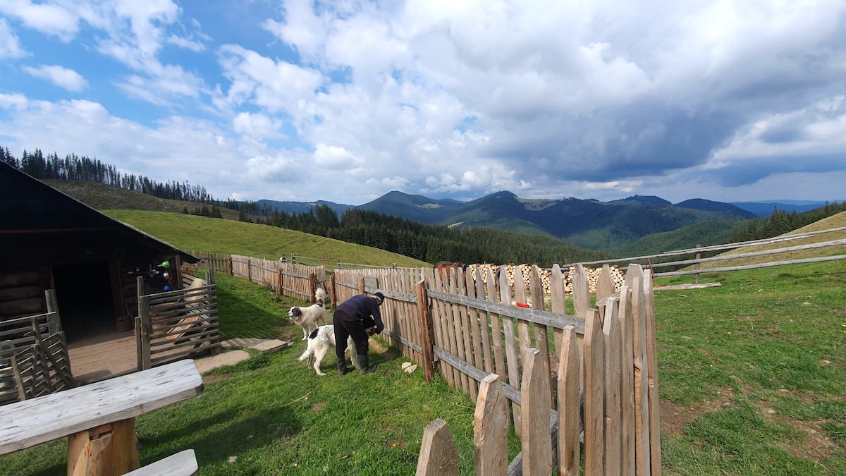 Pe toată Via Transilvanica. Ziua 2: spectaculos pare puțin spus