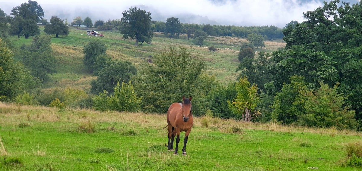 Pe toată Via Transilvanica, ziua 4. De la Tibi Ușeriu și până când norii ne-au devenit prieteni