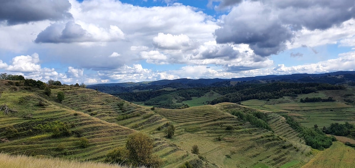 Pe toată Via Transilvanica. Ziua 12 ne-a purtat tot prin Sibiu. Și ce Sibiu...