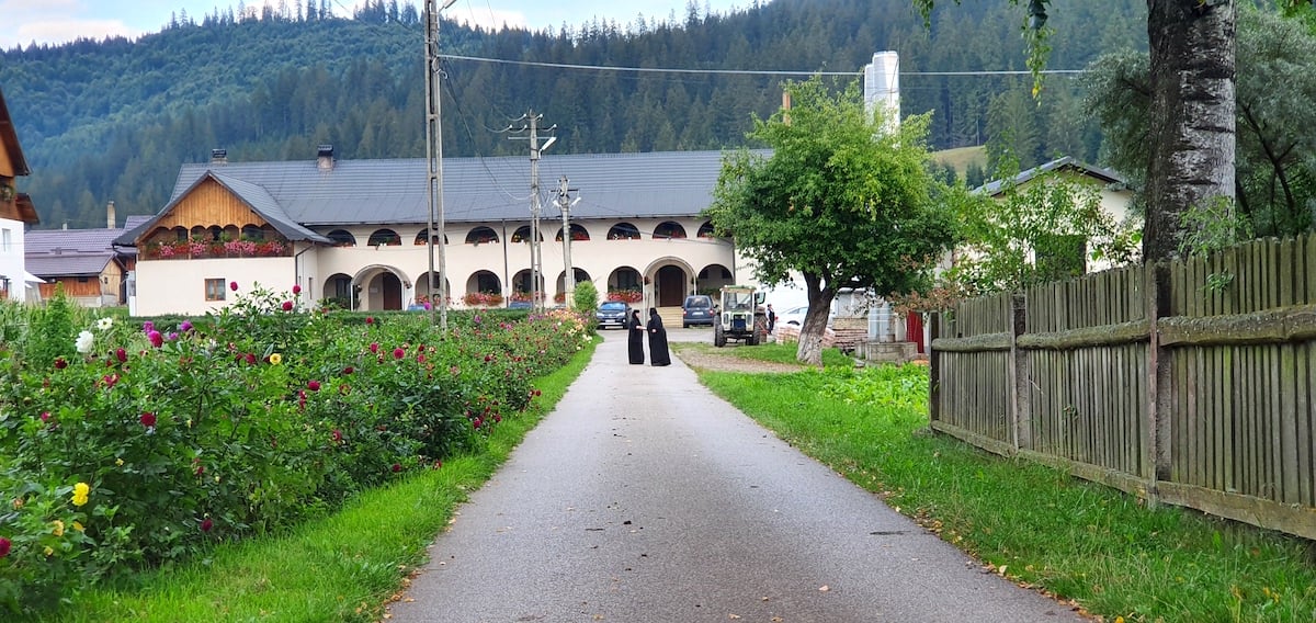 Am plecat pe toată Via Transilvanica. Ziua 1, ”`ai mai grea”