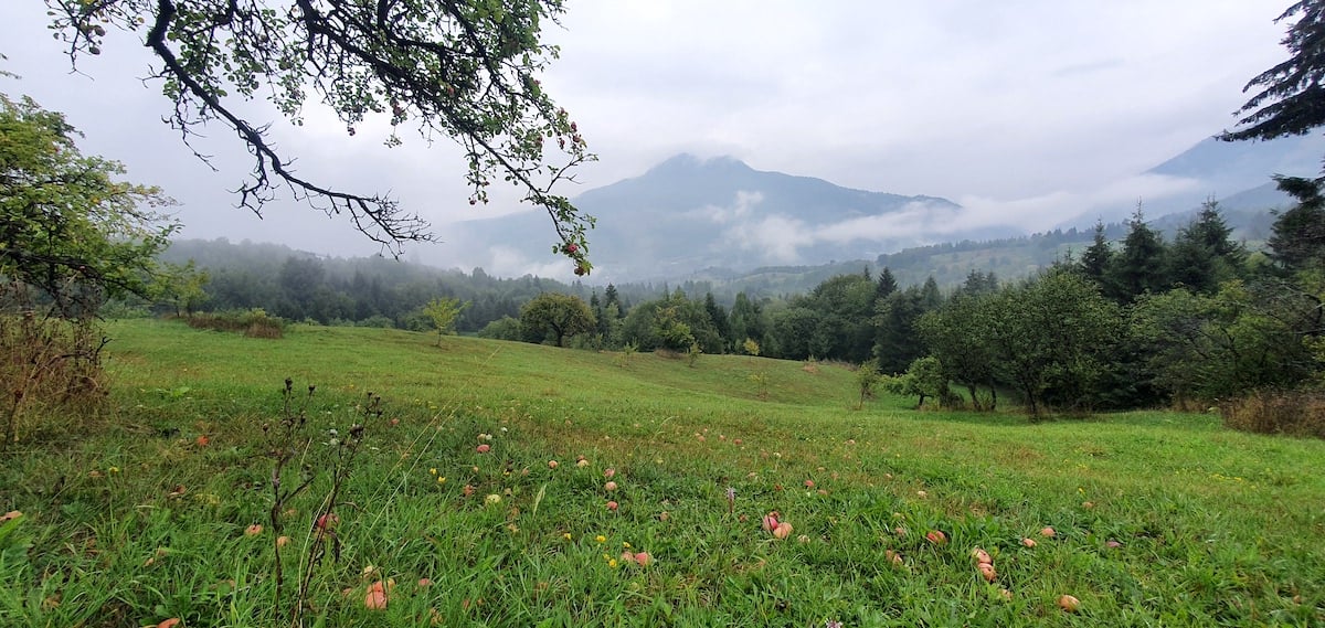 Pe toată Via Transilvanica, ziua 4. De la Tibi Ușeriu și până când norii ne-au devenit prieteni