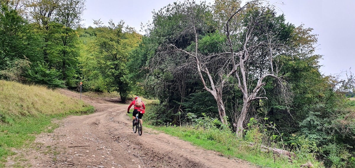 Pe toată Via Transilvanica, ziua 11. Am ajuns la Sibiu: pe coline răsar castele și biserici fortificate