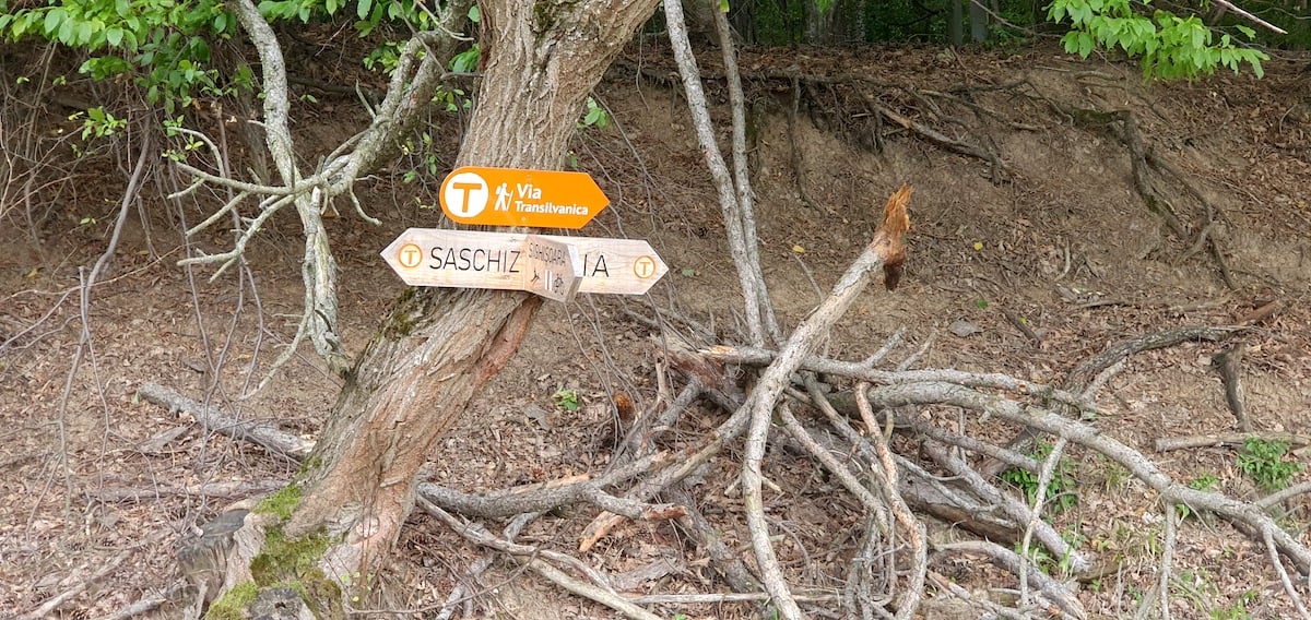 Pe toată Via Transilvanica, ziua 10. Am gonit din ținutul lemnos al secuilor în cel de piatră al sașilor: ne apropiem de casă