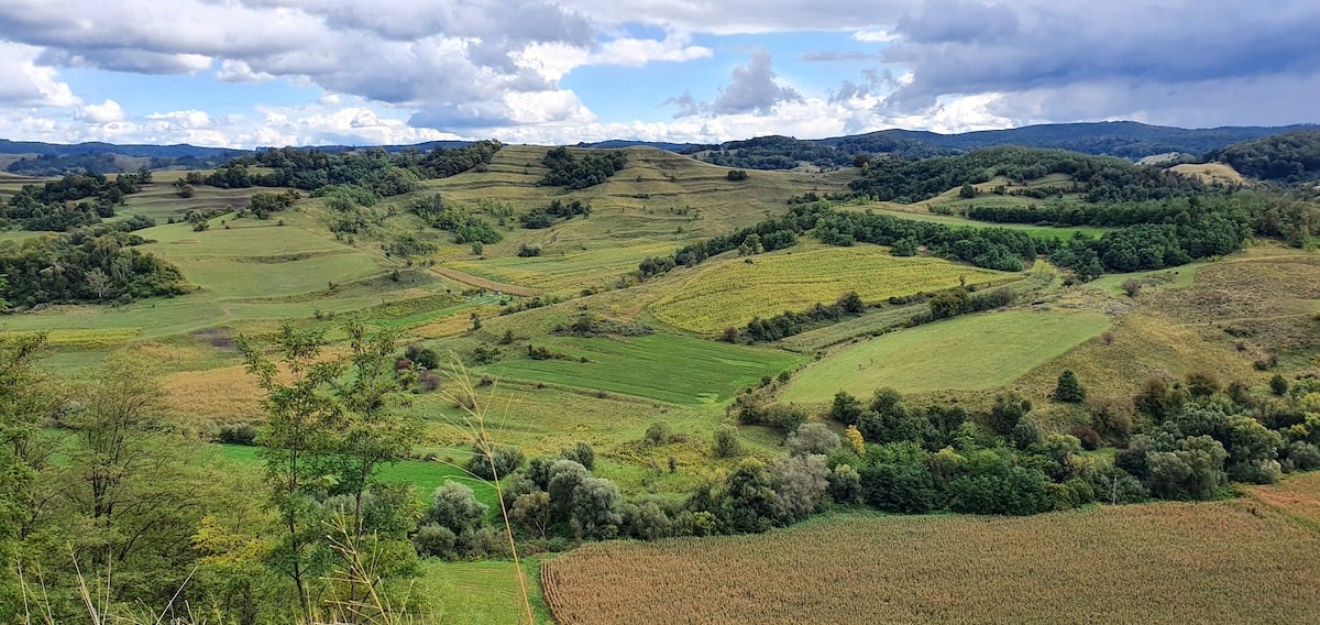 Pe toată Via Transilvanica. Ziua 12 ne-a purtat tot prin Sibiu. Și ce Sibiu...