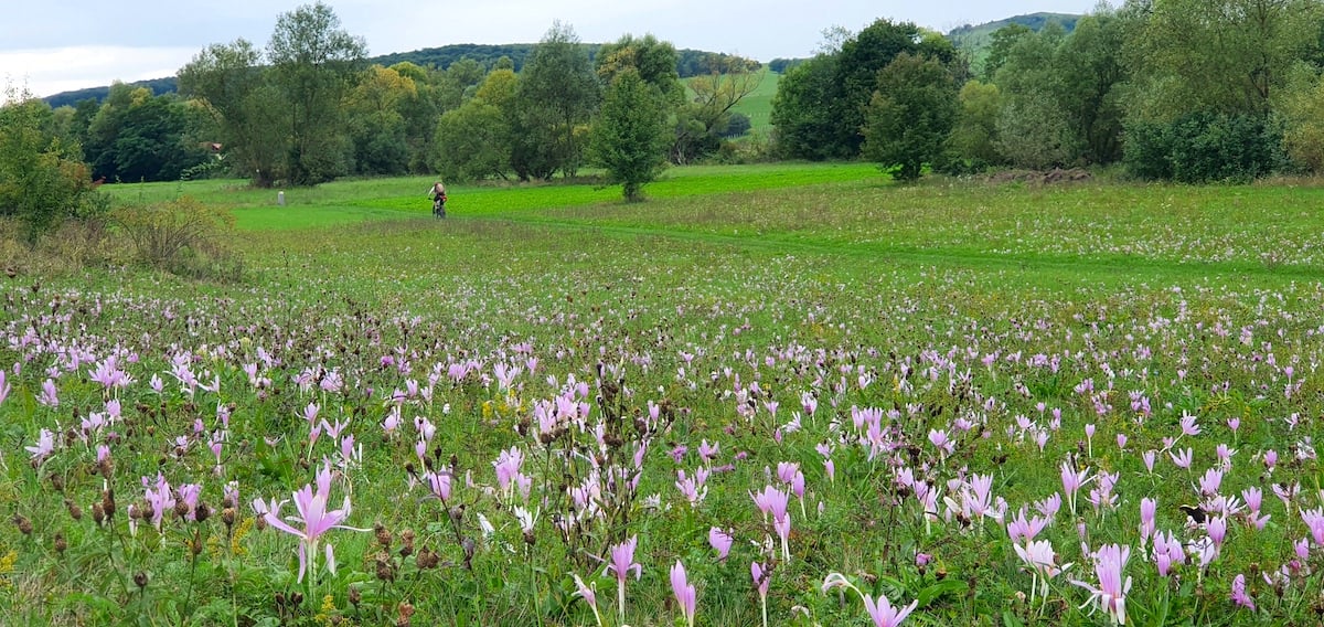 Pe toată Via Transilvanica, ziua 9. ”Acesta este tot secretul: să ne cunoaștem”