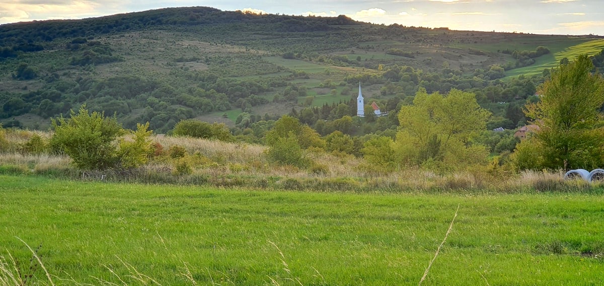 Pe toată Via Transilvanica, ziua 8. Pe autostrada urșilor am ajuns în satul-muzeu