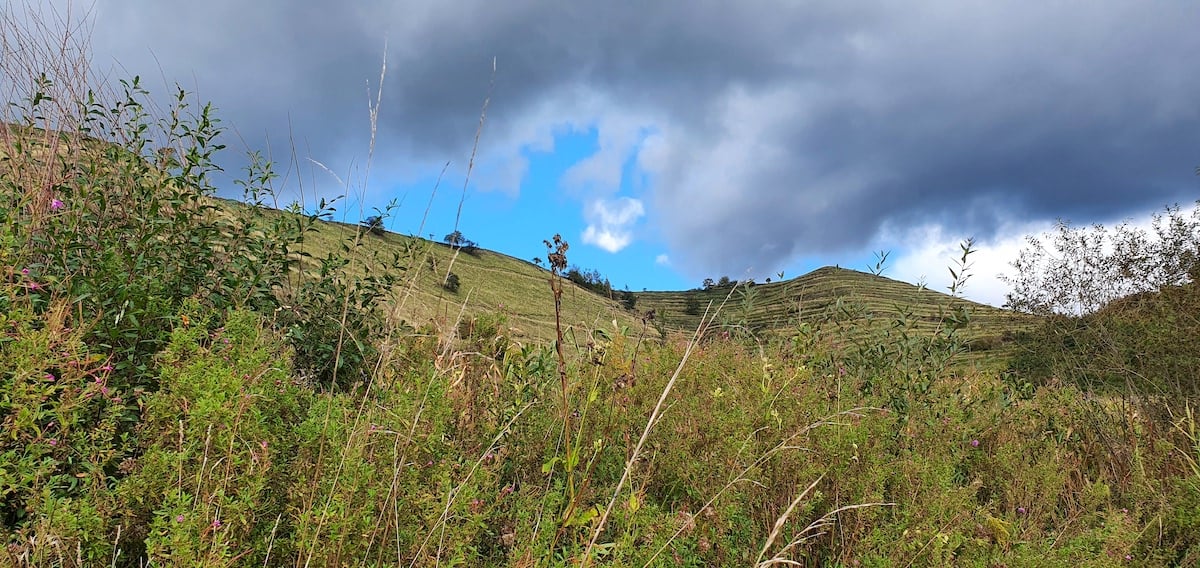 Pe toată Via Transilvanica. Ziua 12 ne-a purtat tot prin Sibiu. Și ce Sibiu...