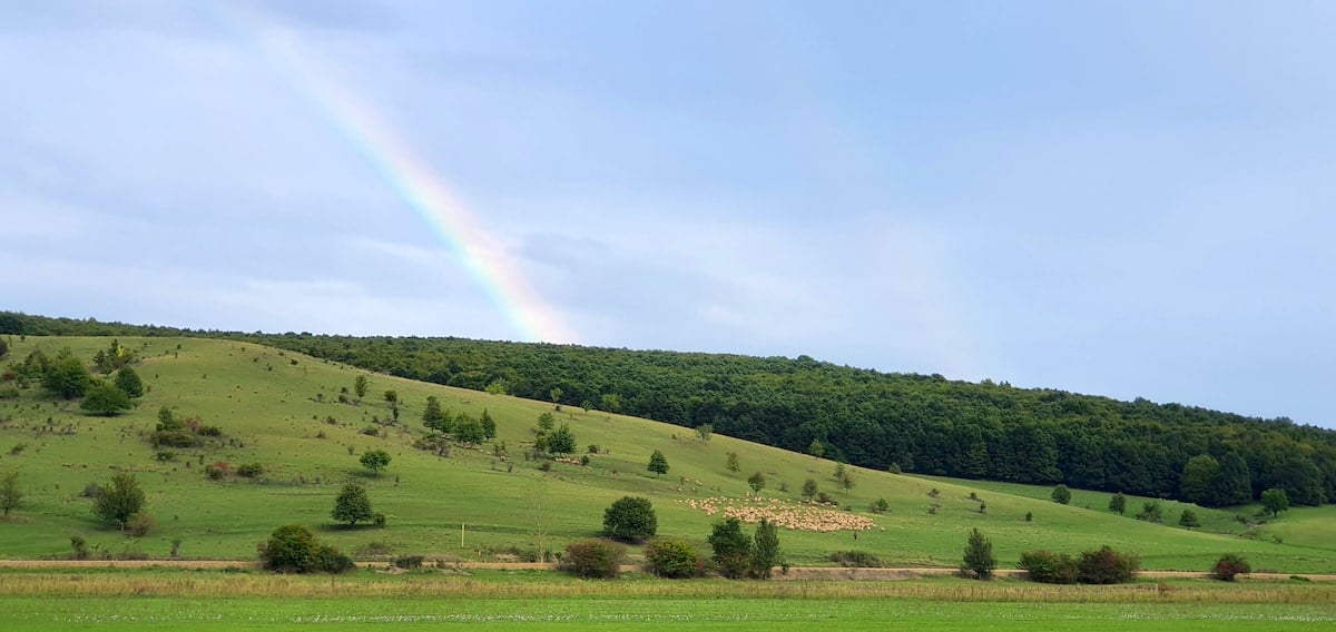 Pe toată Via Transilvanica, ziua 9. ”Acesta este tot secretul: să ne cunoaștem”