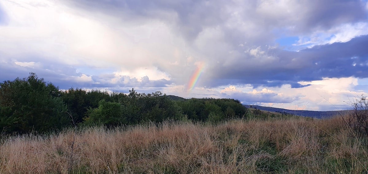 Pe toată Via Transilvanica, ziua 13. Ne-au petrecut doi primari, ambii sibieni, și am sfârșit rătăcind noaptea prin pădure