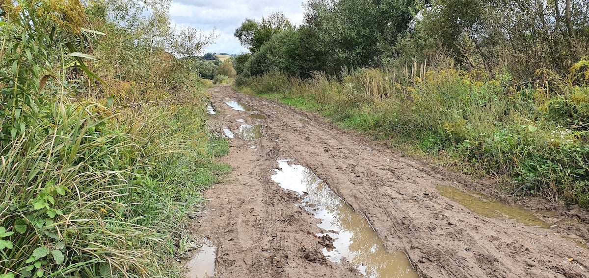 Pe toată Via Transilvanica. Ziua 12 ne-a purtat tot prin Sibiu. Și ce Sibiu...
