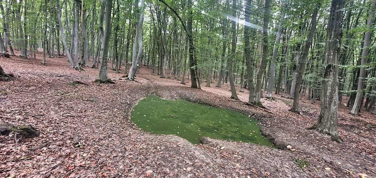 Pe toată Via Transilvanica, ziua 10. Am gonit din ținutul lemnos al secuilor în cel de piatră al sașilor: ne apropiem de casă