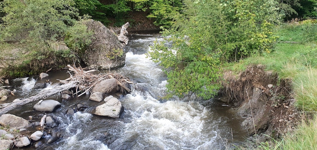 Pe toată Via Transilvanica, ziua 7. Atunci când oamenii și locurile te umplu de cadouri