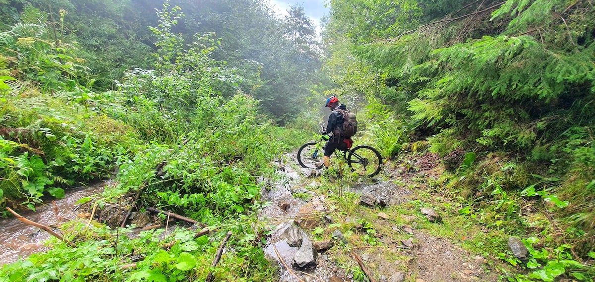 Pe toată Via Transilvanica. Ziua 2: spectaculos pare puțin spus