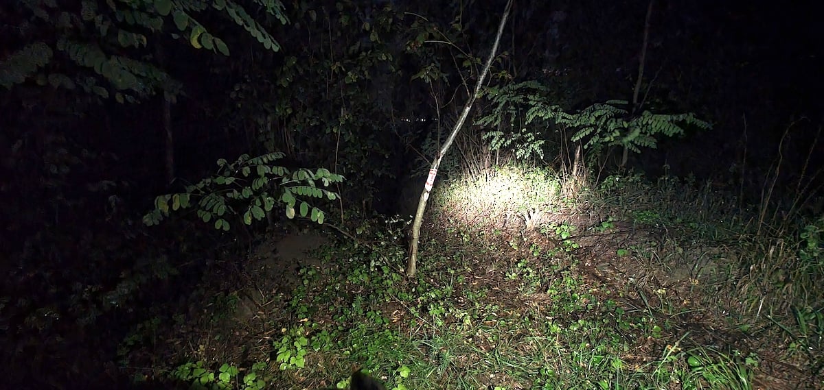 Pe toată Via Transilvanica, ziua 13. Ne-au petrecut doi primari, ambii sibieni, și am sfârșit rătăcind noaptea prin pădure