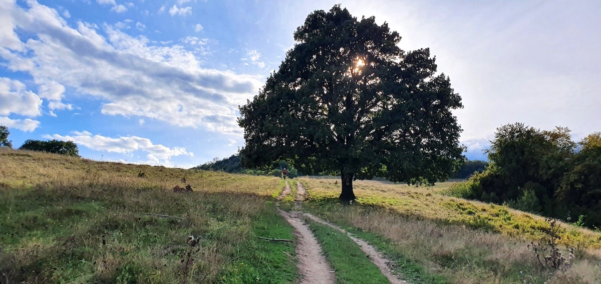 Pe toată Via Transilvanica, ziua 11. Am ajuns la Sibiu: pe coline răsar castele și biserici fortificate
