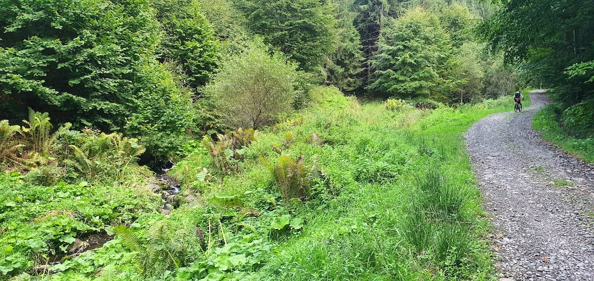 Pe toată Via Transilvanica, ziua 7. Atunci când oamenii și locurile te umplu de cadouri