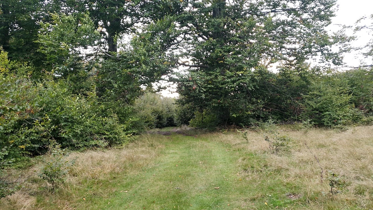 Pe toată Via Transilvanica, ziua 7. Atunci când oamenii și locurile te umplu de cadouri