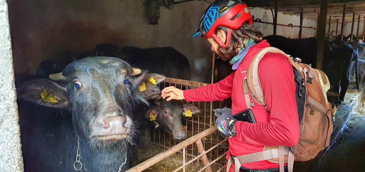 Pe toată Via Transilvanica, ziua 11. Am ajuns la Sibiu: pe coline răsar castele și biserici fortificate