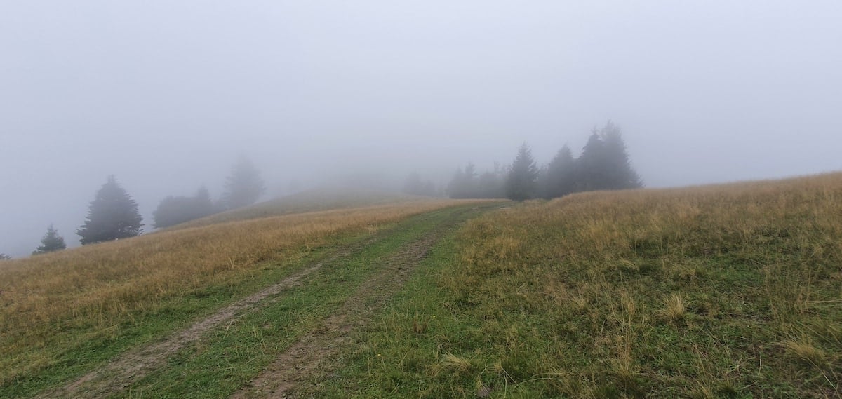 Pe toată Via Transilvanica, ziua 4. De la Tibi Ușeriu și până când norii ne-au devenit prieteni