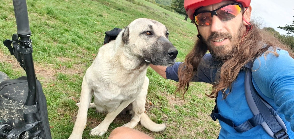 Pe toată Via Transilvanica, ziua 10. Am gonit din ținutul lemnos al secuilor în cel de piatră al sașilor: ne apropiem de casă