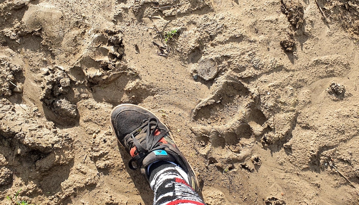 Pe toată Via Transilvanica. Ziua 6, în care aventura era să se încheie brusc, de două ori. Revanșa - fabuloasă