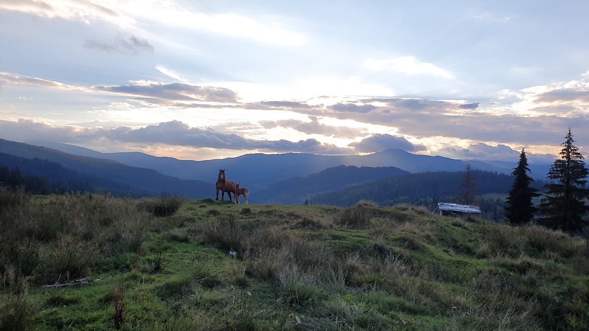 Pe toată Via Transilvanica. Ziua 2: spectaculos pare puțin spus