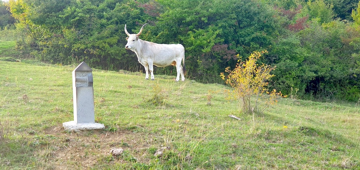 Pe toată Via Transilvanica, ziua 9. ”Acesta este tot secretul: să ne cunoaștem”