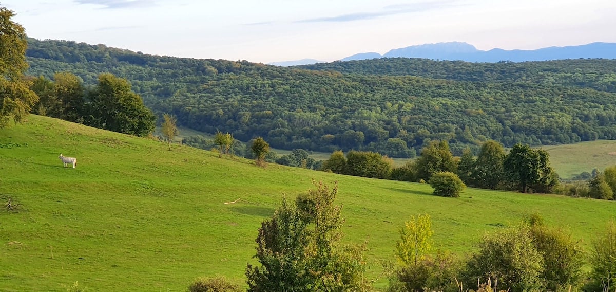 Pe toată Via Transilvanica, ziua 9. ”Acesta este tot secretul: să ne cunoaștem”