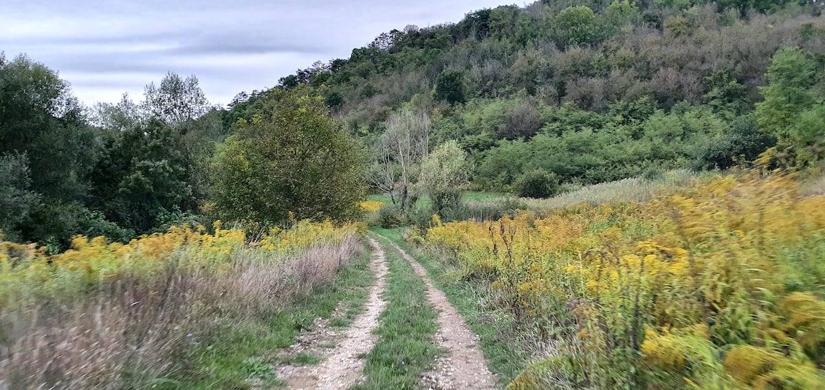 Pe toată Via Transilvanica, ziua 11. Am ajuns la Sibiu: pe coline răsar castele și biserici fortificate