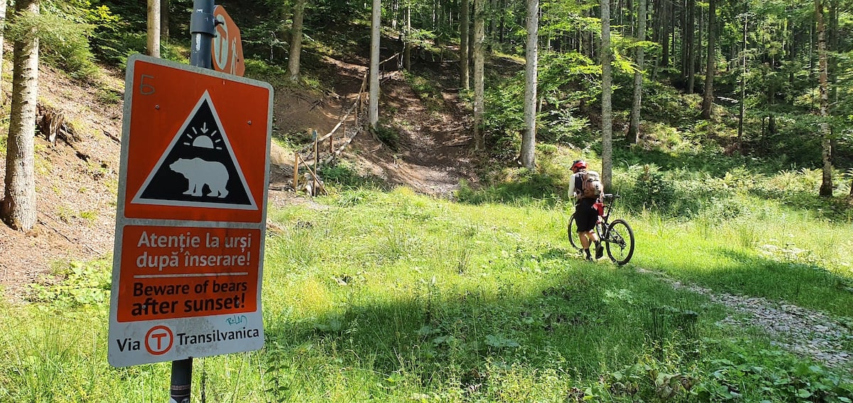 Am plecat pe toată Via Transilvanica. Ziua 1, ”`ai mai grea”