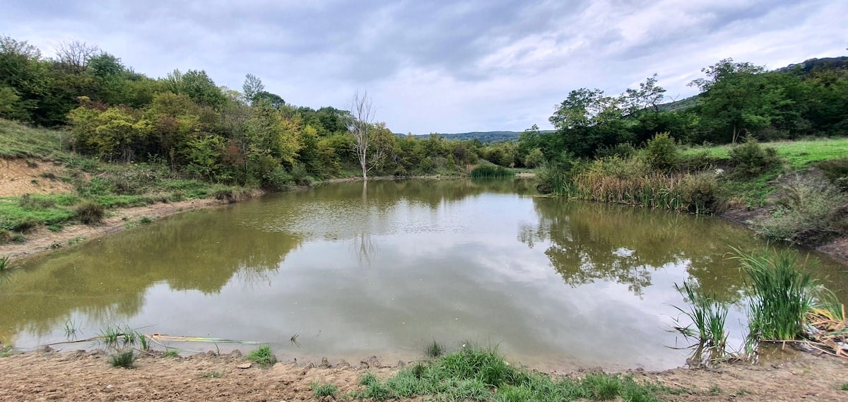 Pe toată Via Transilvanica, ziua 10. Am gonit din ținutul lemnos al secuilor în cel de piatră al sașilor: ne apropiem de casă