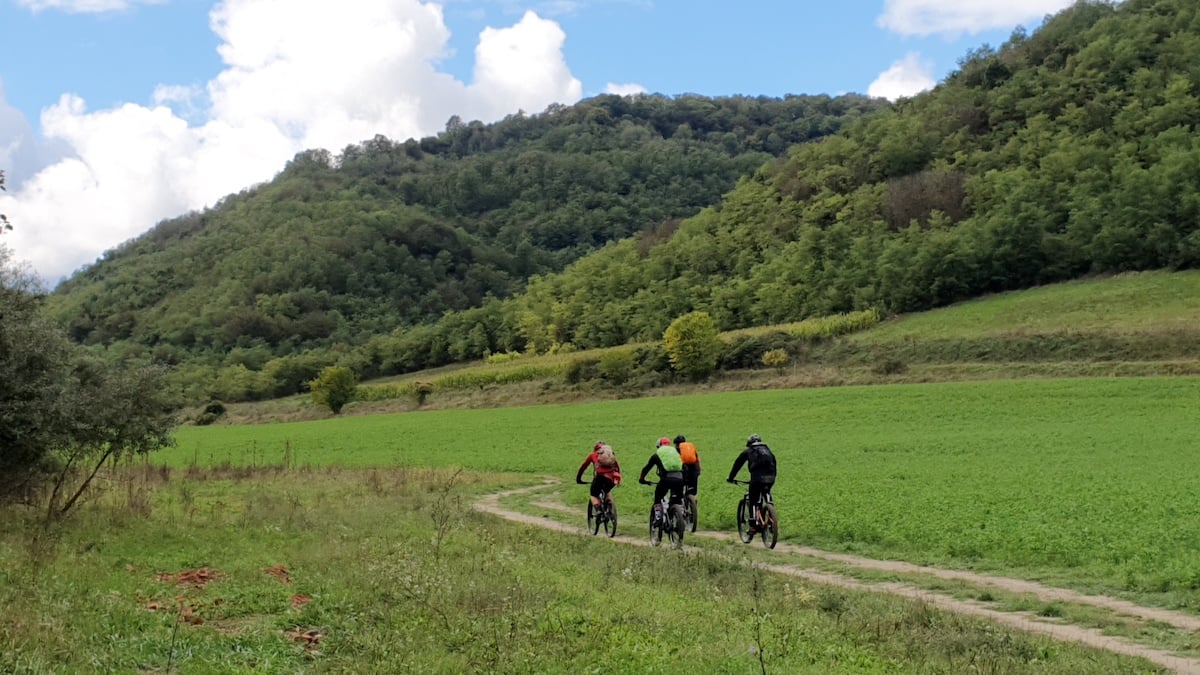 Pe toată Via Transilvanica, ziua 13. Ne-au petrecut doi primari, ambii sibieni, și am sfârșit rătăcind noaptea prin pădure