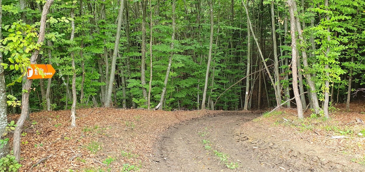 Pe toată Via Transilvanica, ziua 10. Am gonit din ținutul lemnos al secuilor în cel de piatră al sașilor: ne apropiem de casă