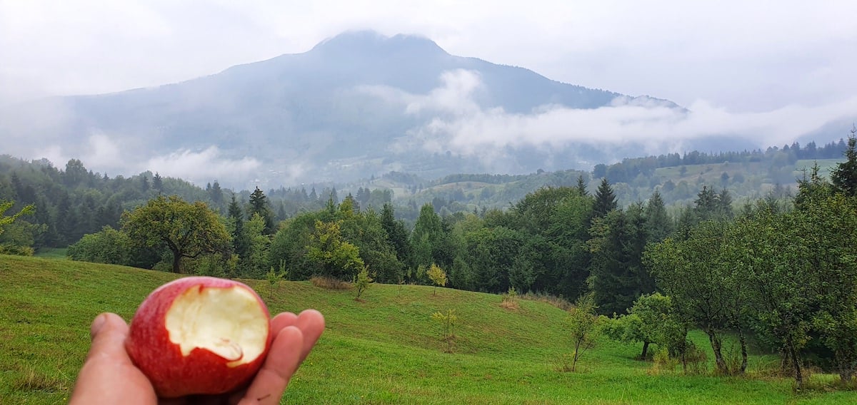 Pe toată Via Transilvanica, ziua 4. De la Tibi Ușeriu și până când norii ne-au devenit prieteni