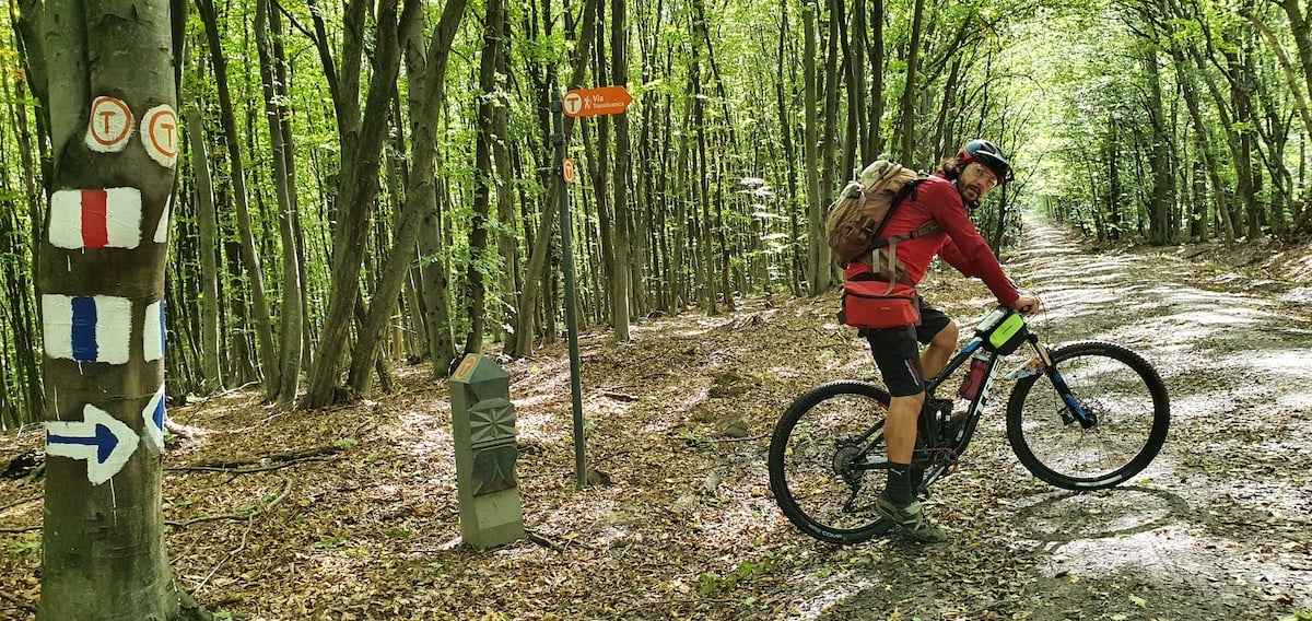 Pe toată Via Transilvanica, ziua 11. Am ajuns la Sibiu: pe coline răsar castele și biserici fortificate