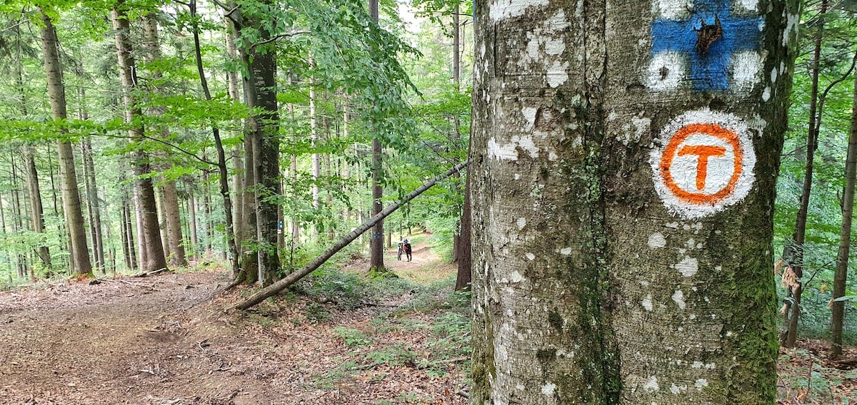 Am plecat pe toată Via Transilvanica. Ziua 1, ”`ai mai grea”