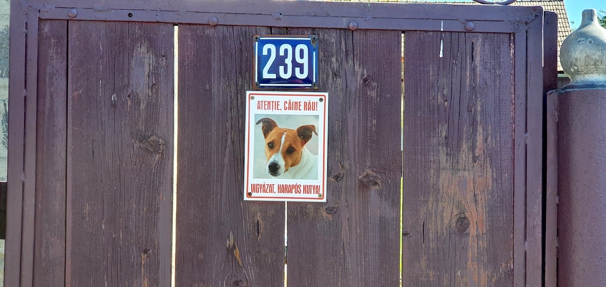 Pe toată Via Transilvanica, ziua 9. ”Acesta este tot secretul: să ne cunoaștem”