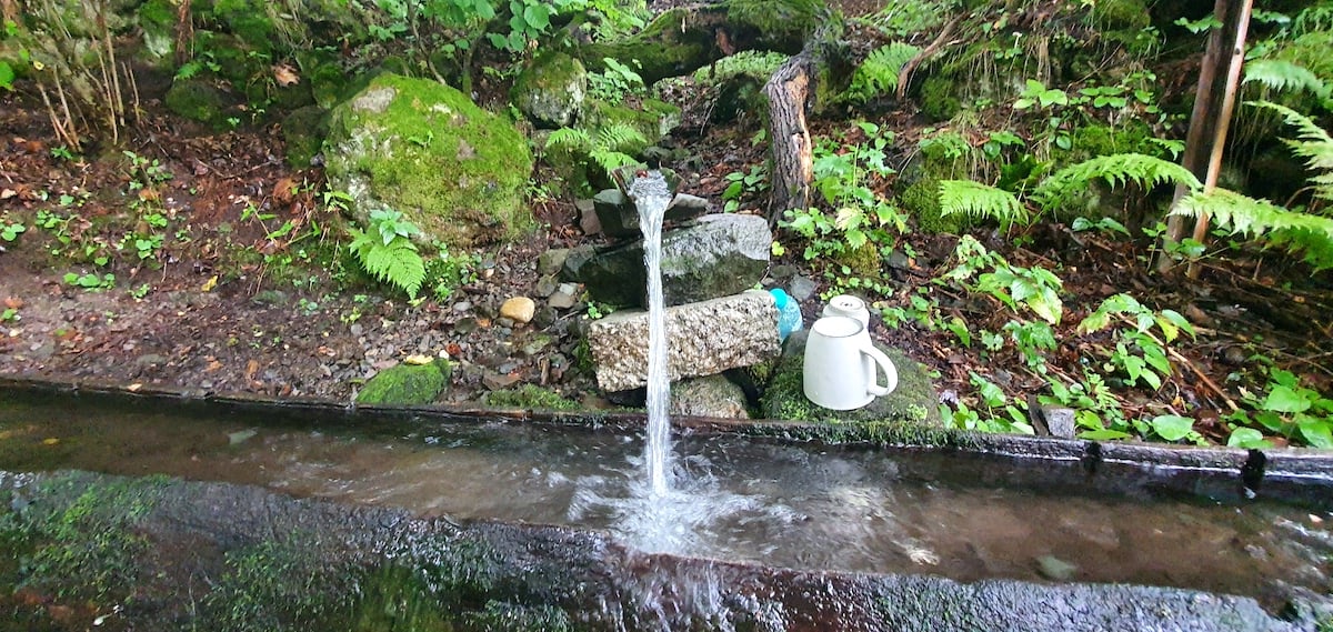 Pe toată Via Transilvanica, ziua 4. De la Tibi Ușeriu și până când norii ne-au devenit prieteni