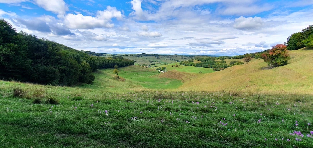 Pe toată Via Transilvanica, ziua 11. Am ajuns la Sibiu: pe coline răsar castele și biserici fortificate
