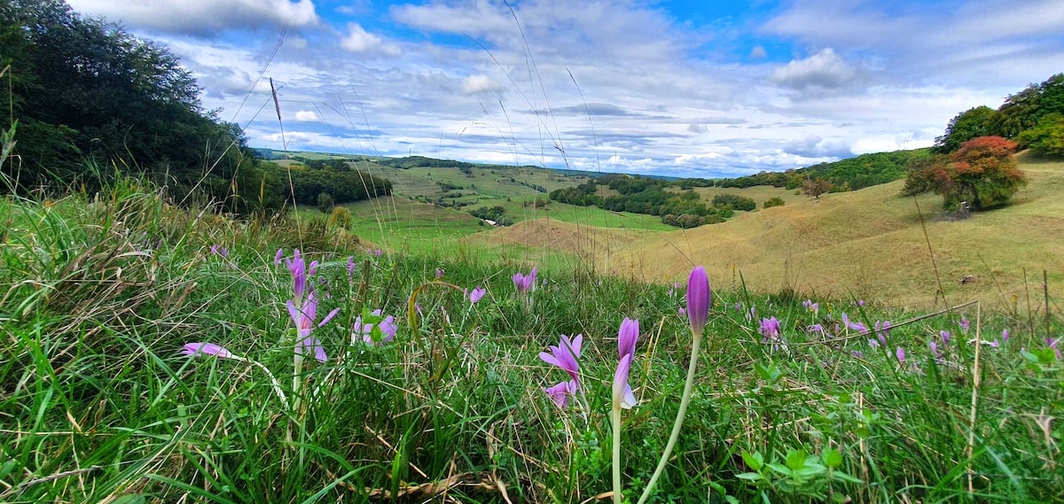 Pe toată Via Transilvanica, ziua 11. Am ajuns la Sibiu: pe coline răsar castele și biserici fortificate