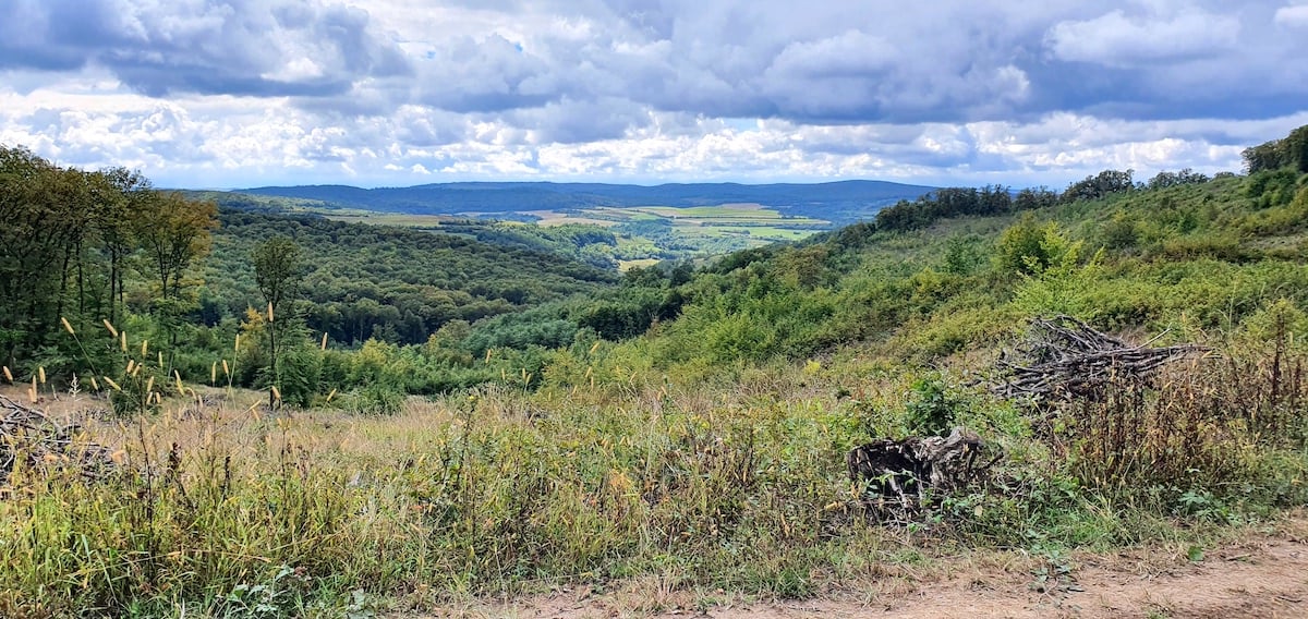 Pe toată Via Transilvanica, ziua 13. Ne-au petrecut doi primari, ambii sibieni, și am sfârșit rătăcind noaptea prin pădure