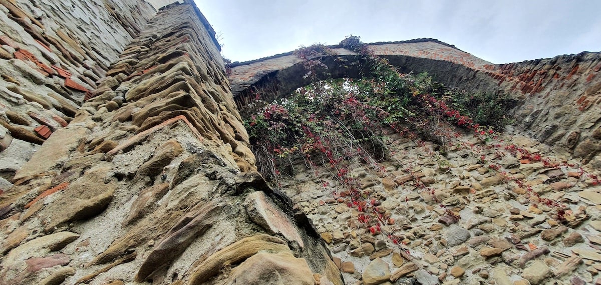 Pe toată Via Transilvanica. Ziua 12 ne-a purtat tot prin Sibiu. Și ce Sibiu...